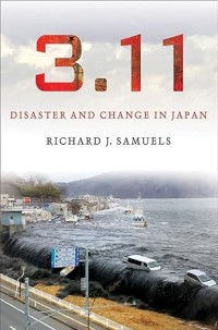 Disaster and Change in Japan